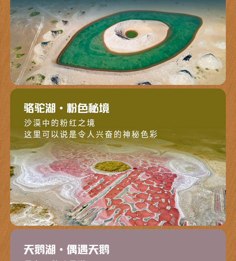 ジャンクジャーナル✢『Inner sanctuary♡』 This is going to be our Angel of the North': Leeds unveils